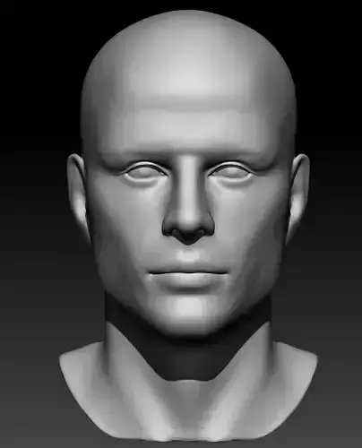 Male Head 10 3D model