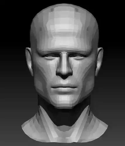 Male Head 4