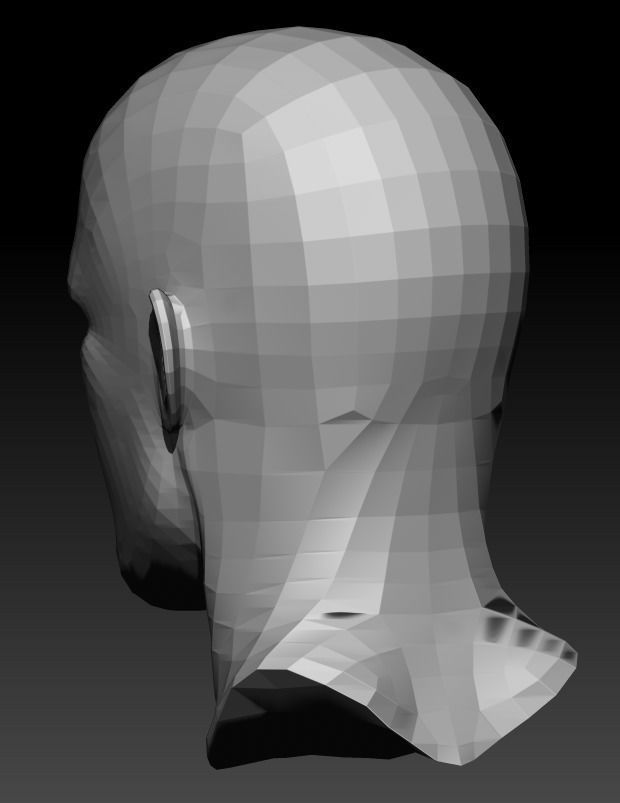 Male Head 9 Low-poly 3D model_5