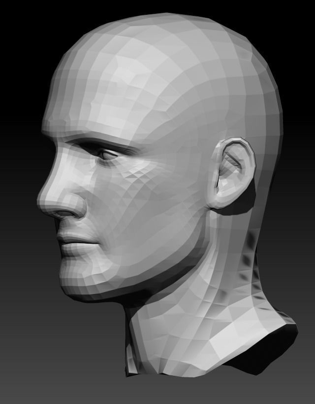Male Head 9 Low-poly 3D model_2