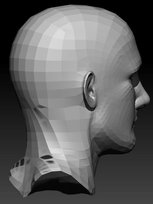 Male Head 9 Low-poly 3D model_8