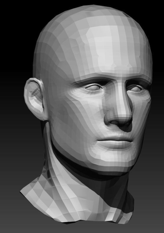 Male Head 9 Low-poly 3D model_11