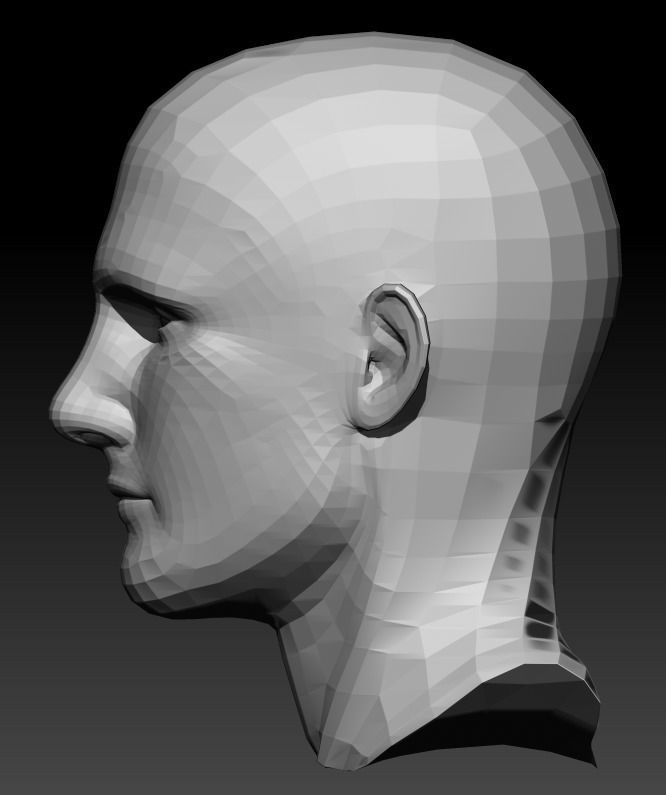 Male Head 9 Low-poly 3D model_3