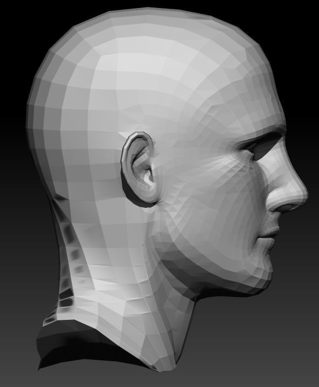 Male Head 9 Low-poly 3D model_9