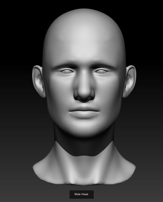 10 Male Heads 3D Model Collection_1