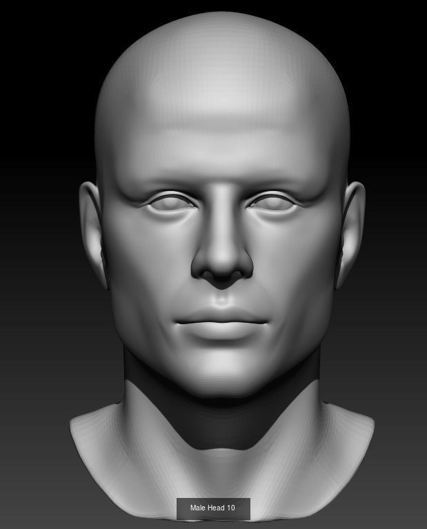 10 Male Heads 3D Model Collection_9