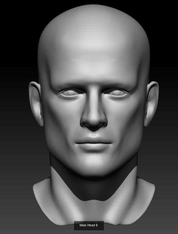 10 Male Heads 3D Model Collection_6