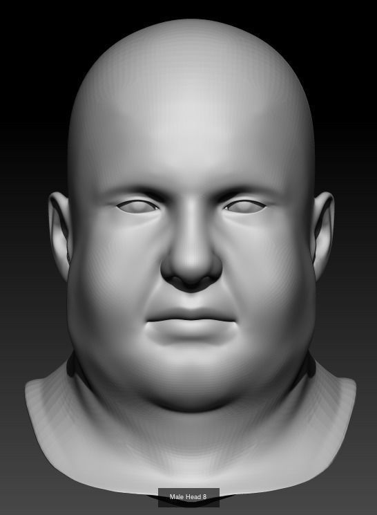 10 Male Heads 3D Model Collection_7