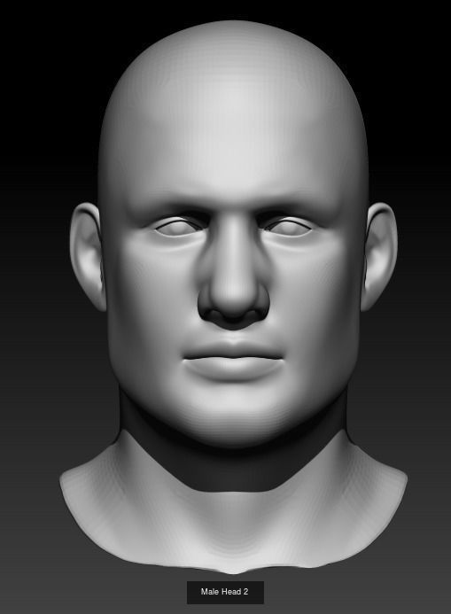 10 Male Heads 3D Model Collection_2