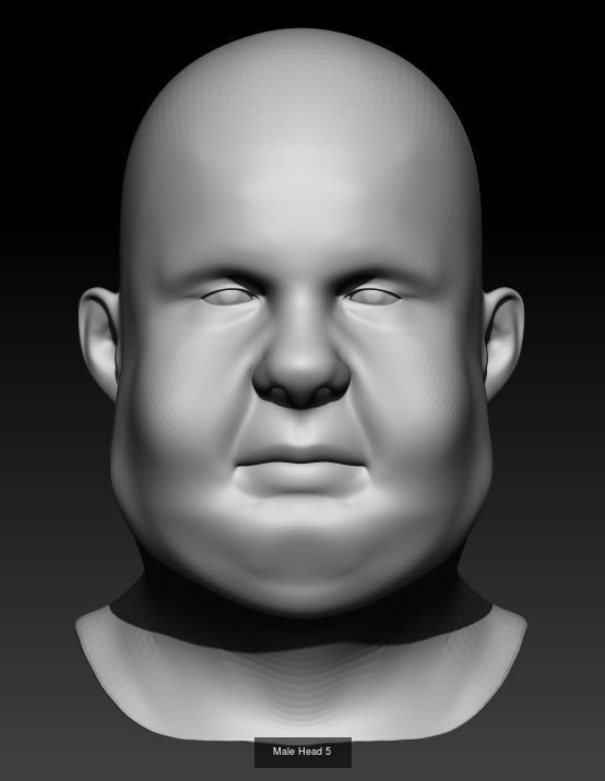10 Male Heads 3D Model Collection_5