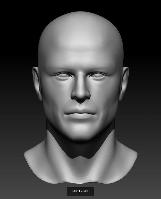 10 Male Heads 3D Model Collection_3
