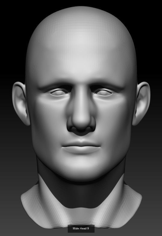 10 Male Heads 3D Model Collection_8