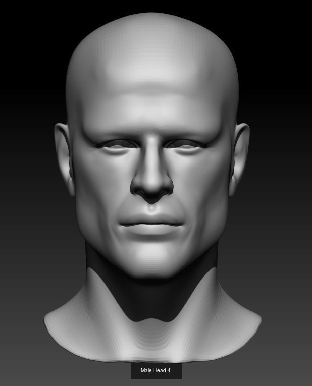 10 Male Heads 3D Model Collection_4