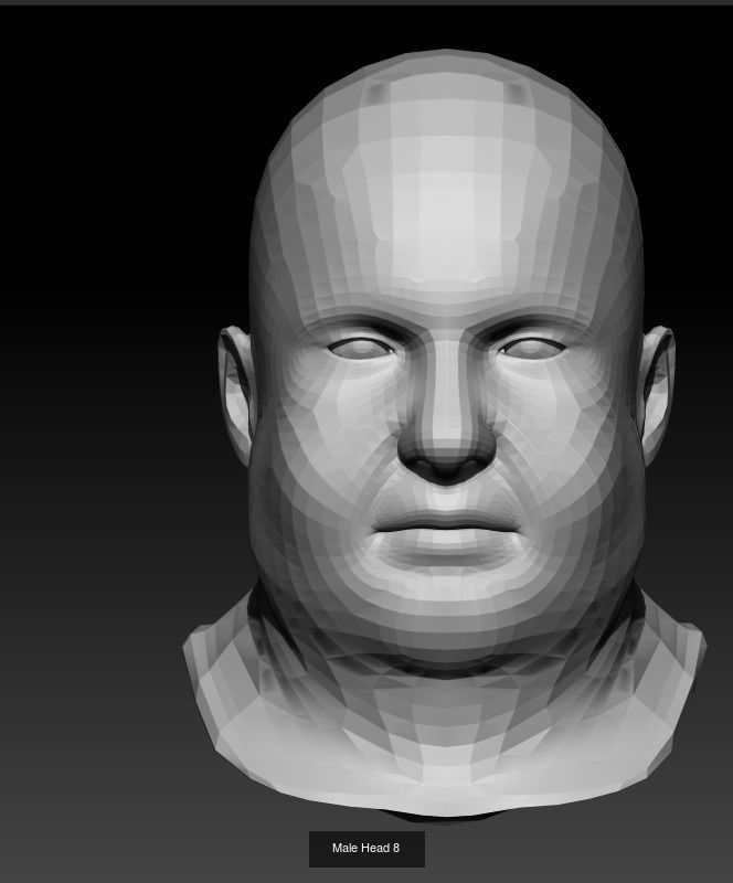 10 Male Heads Low-Poly 3D Model Collection_7