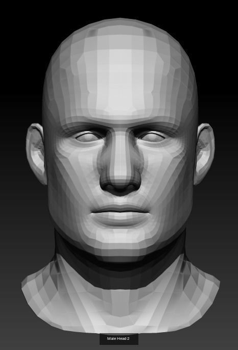 10 Male Heads Low-Poly 3D Model Collection_2