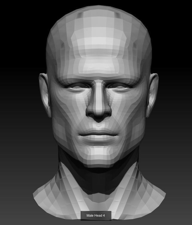 10 Male Heads Low-Poly 3D Model Collection_4