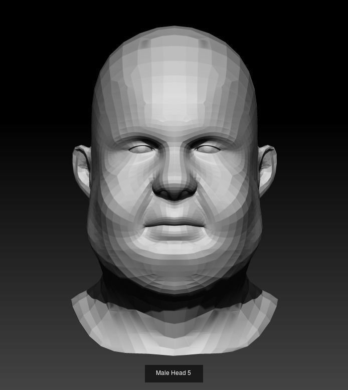 10 Male Heads Low-Poly 3D Model Collection_5