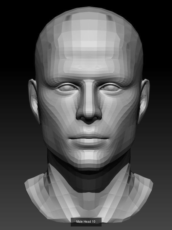 10 Male Heads Low-Poly 3D Model Collection_9