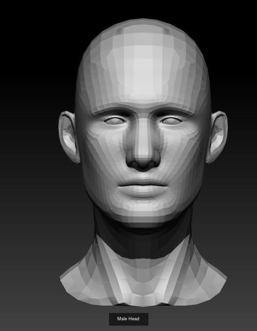 10 Male Heads Low-Poly 3D Model Collection_1