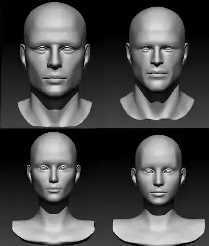 Male and Female Head 4 model 3D Model Collection