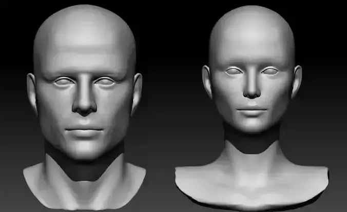 Male and Female Head  3D Model Collection