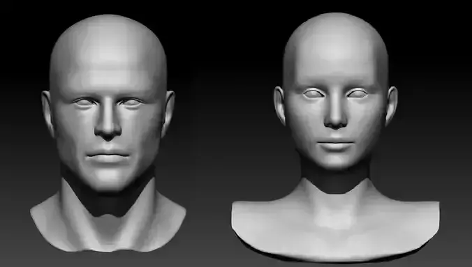 Male and Female Head  3D Model Collection