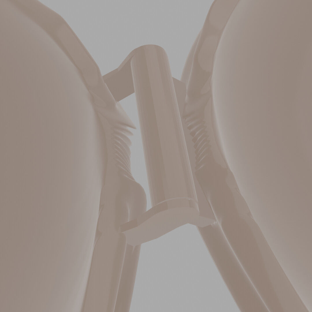 Seashells pearl shell 3D model_4