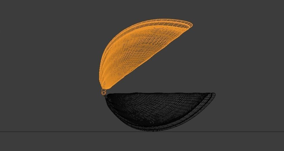 Seashells pearl shell 3D model_11