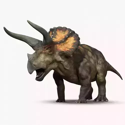 Triceratops Rig Low-poly 3D model