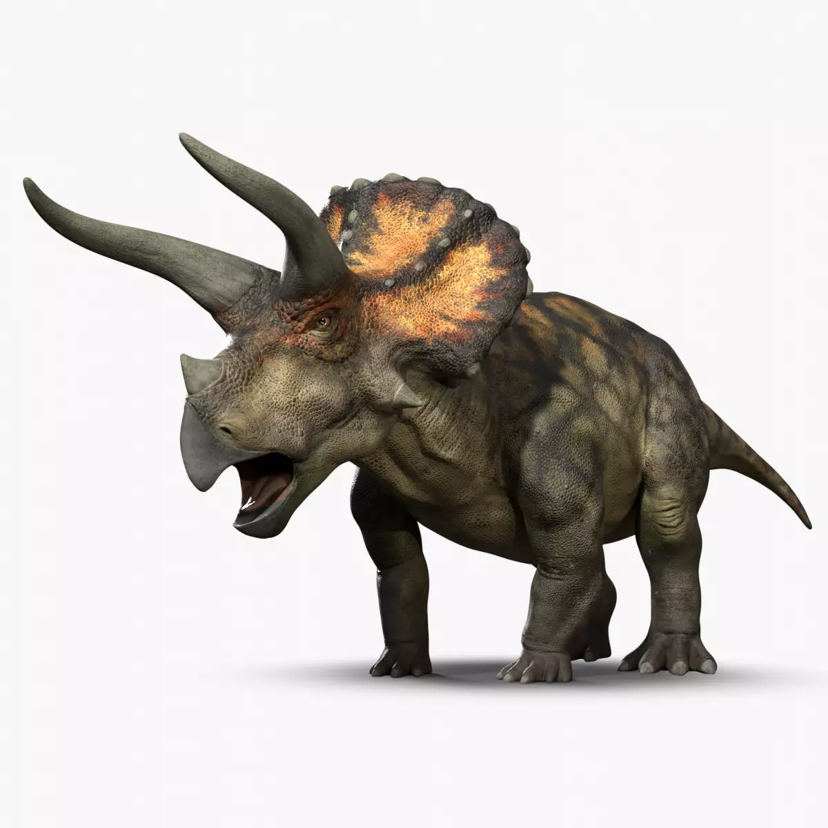  Triceratops Rig Low-poly 3D model_0