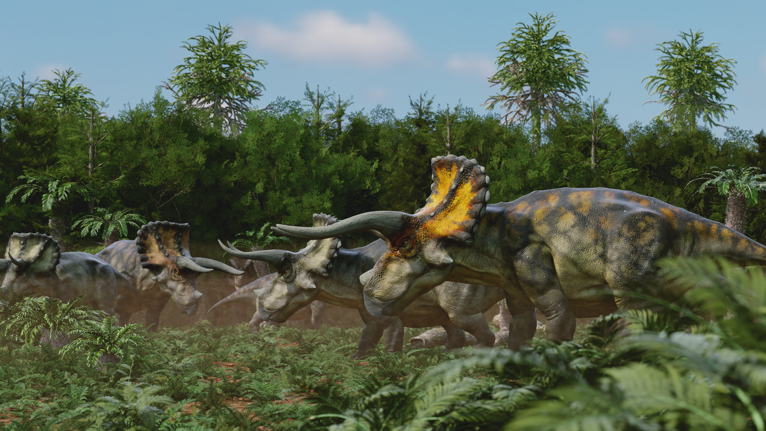  Triceratops Rig Low-poly 3D model_11