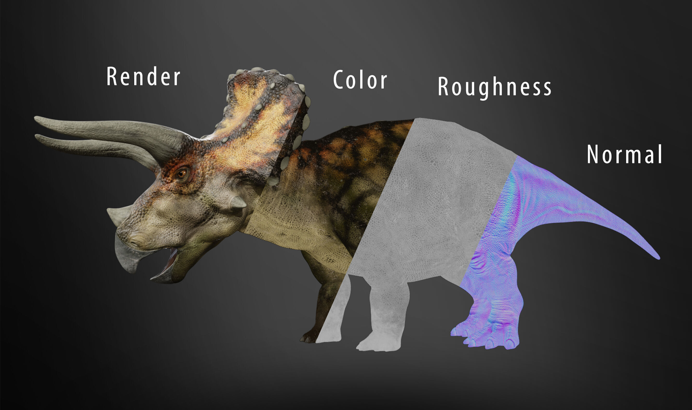  Triceratops Rig Low-poly 3D model_13