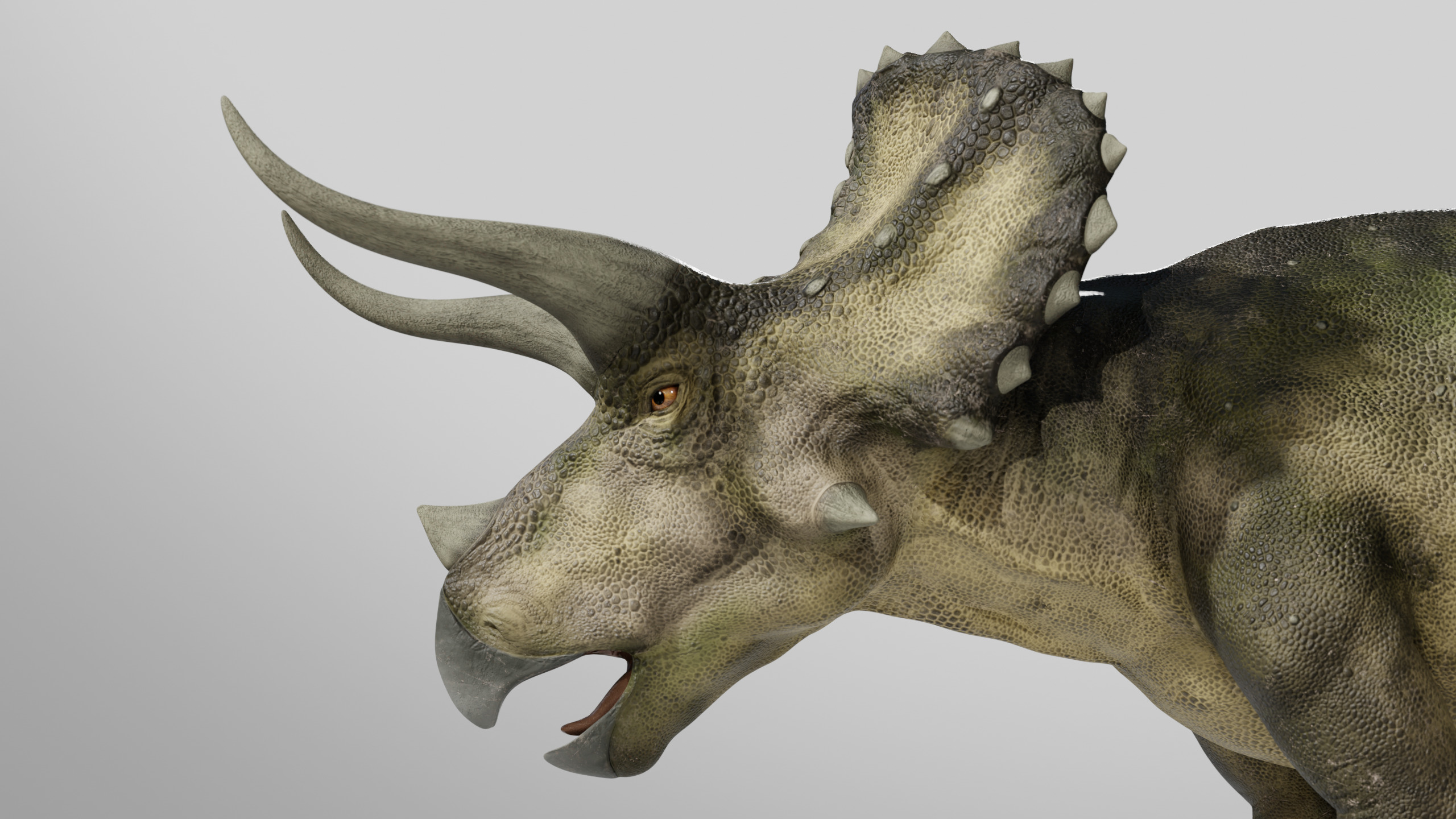  Triceratops Rig Low-poly 3D model_5