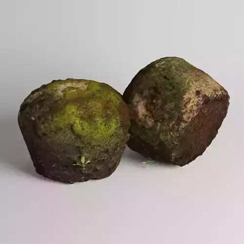 Mossy rock