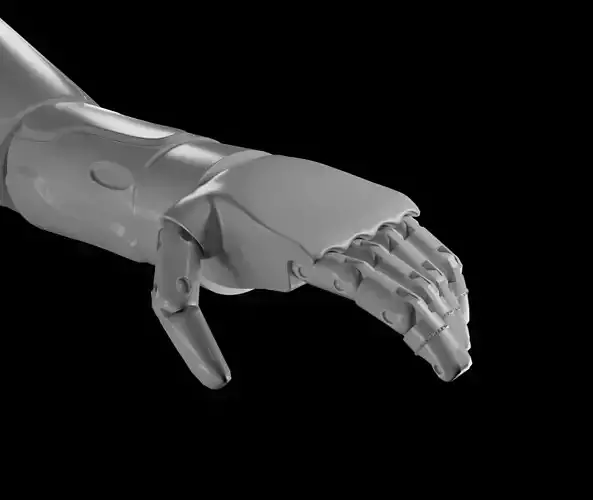 Cyber Arms 3D model