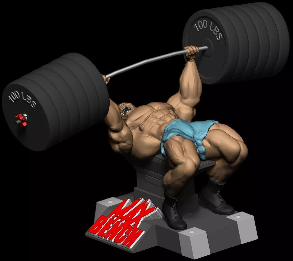 SUPIN PRESS BODYBUILDING 3D print model_0