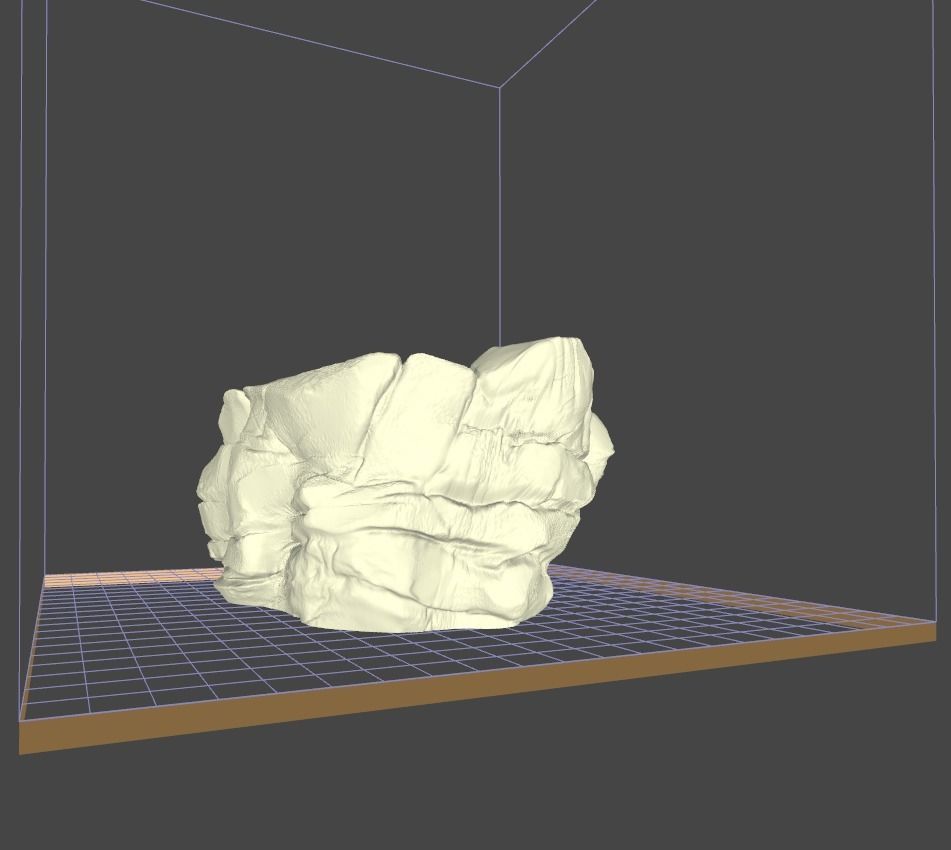 Wings of Fire Peril 3D model_10