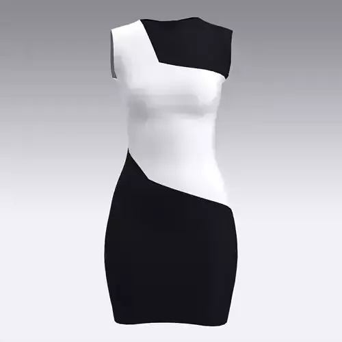 DRESS BLACK AND WHITE COLOR BLOCK