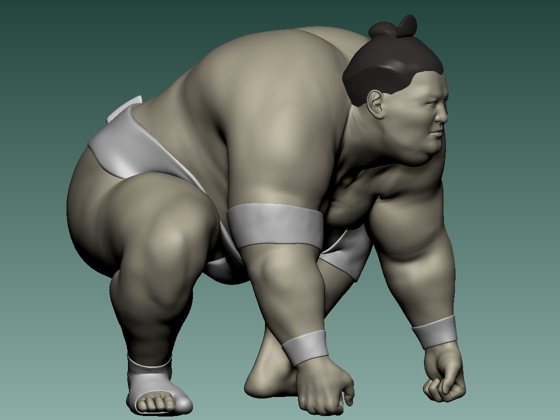 FIGHTING SUMO 3D print model_2