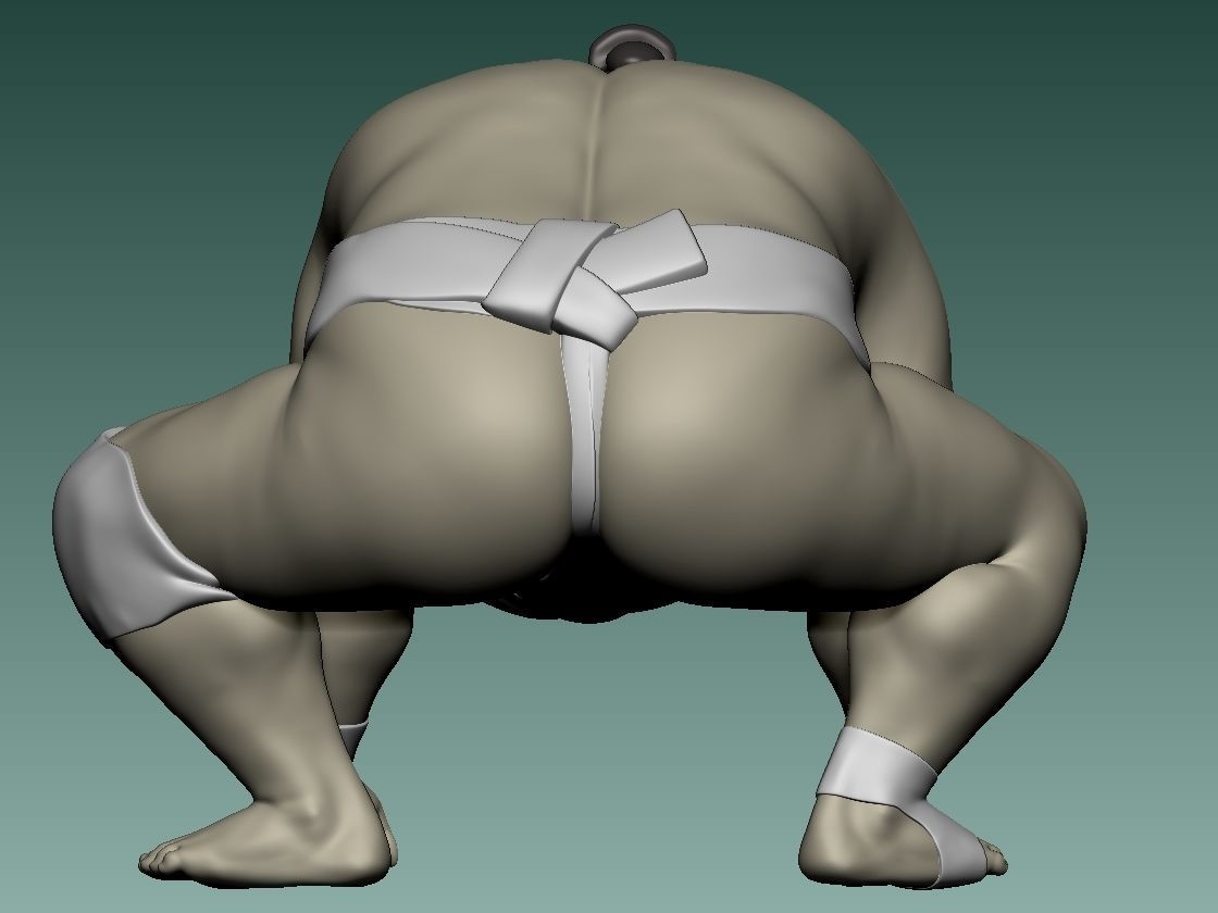 FIGHTING SUMO 3D print model_3
