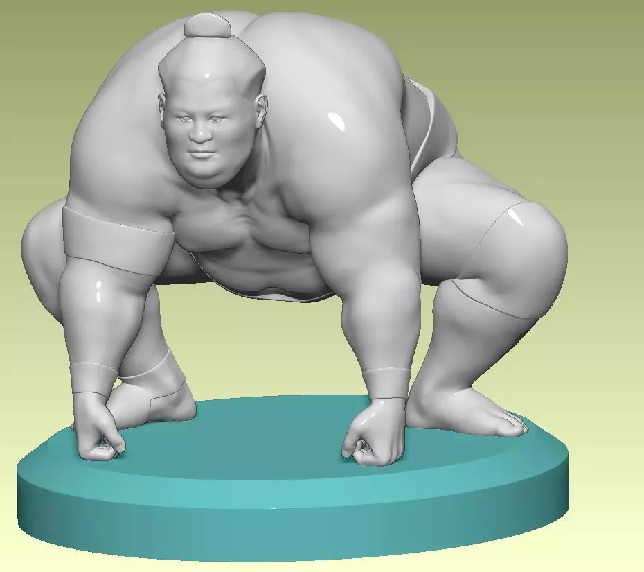 FIGHTING SUMO 3D print model_0