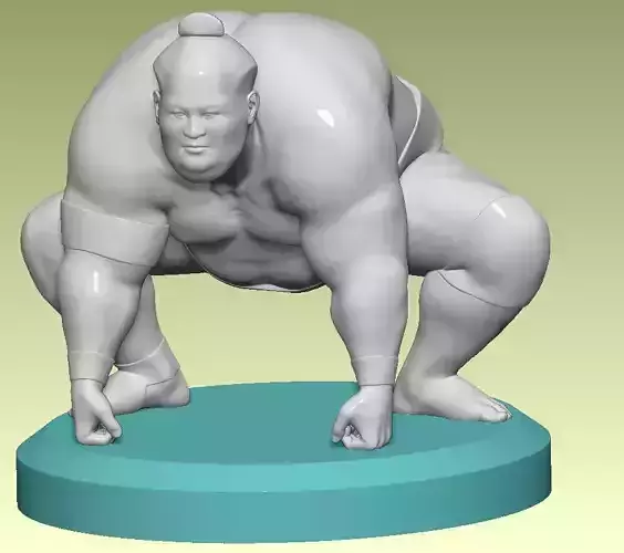 FIGHTING SUMO 3D print model