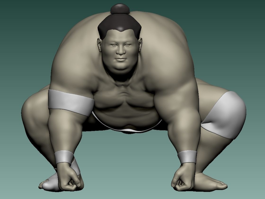 FIGHTING SUMO 3D print model_1