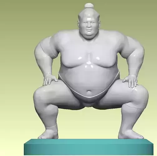 the Sumo wrestler 3D print model