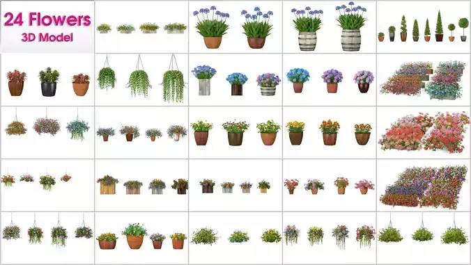 24 Flowers Collection