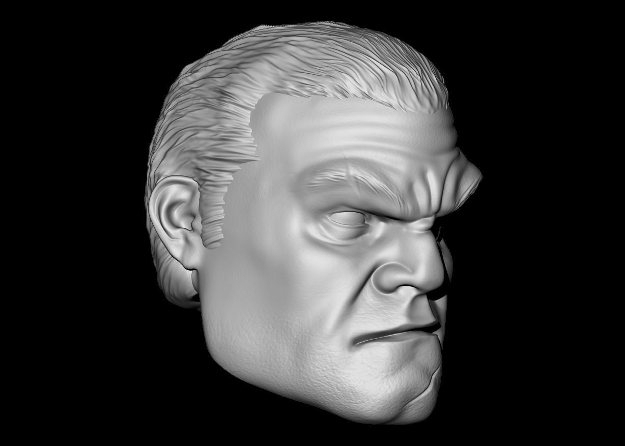 Punisher Custom Head 3D print model_2