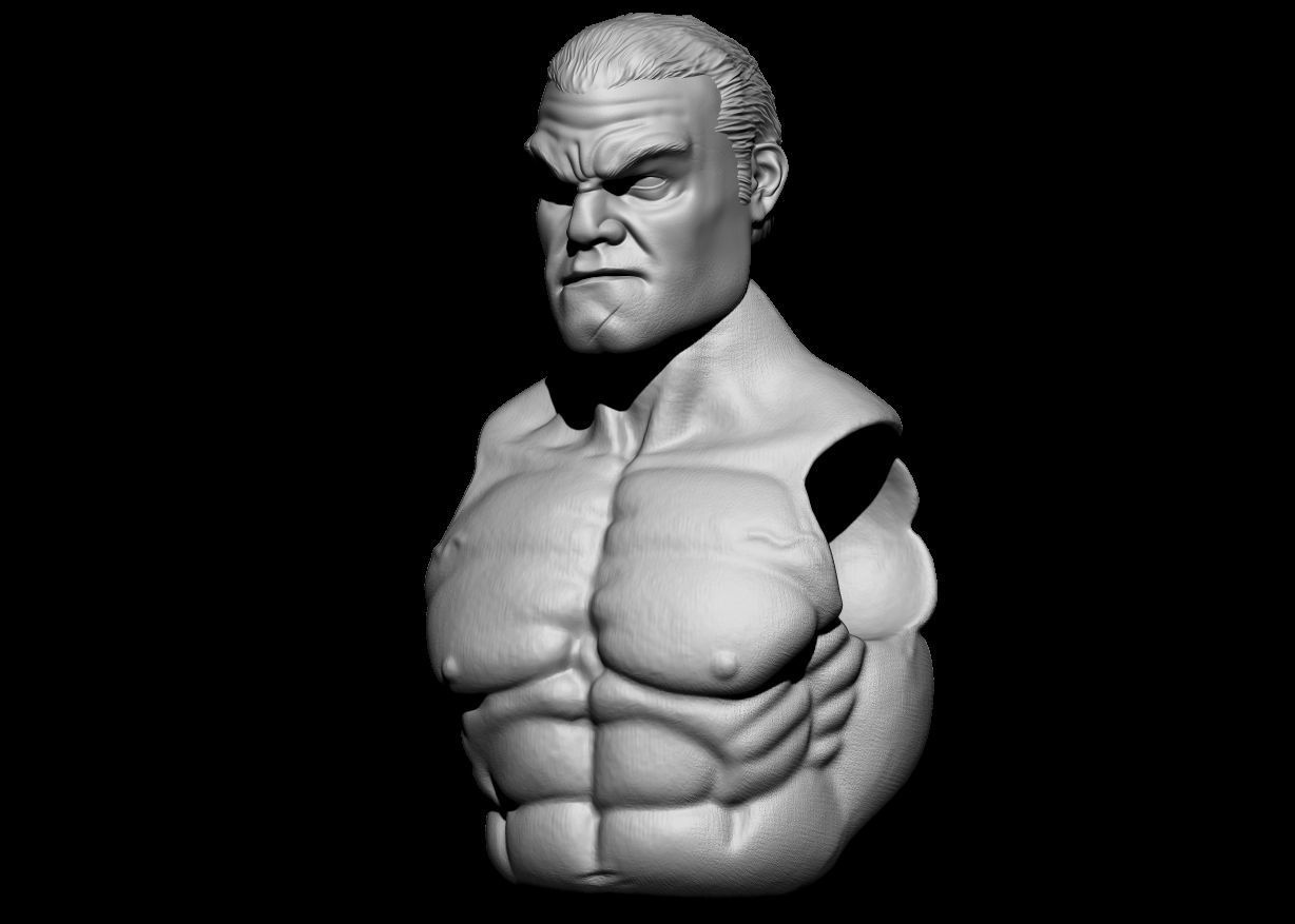 Punisher Custom Head 3D print model_4