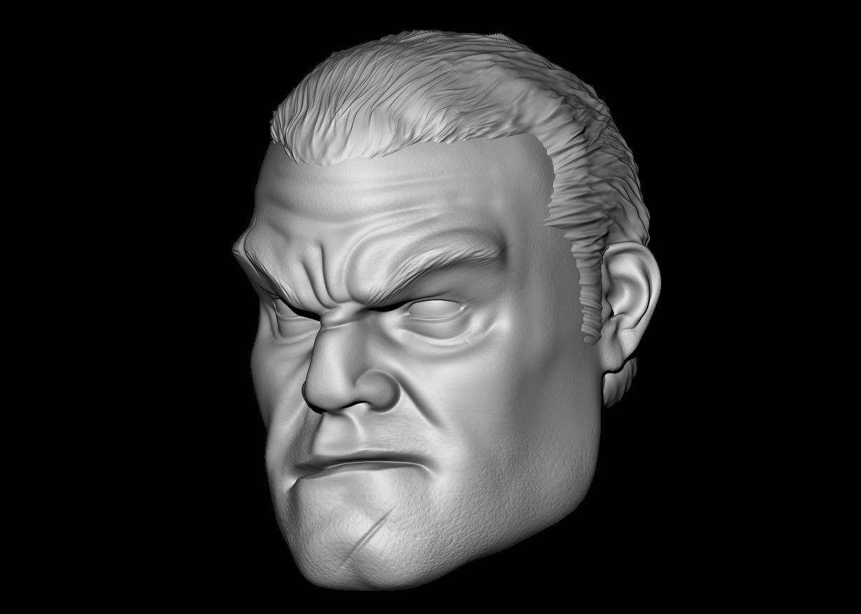 Punisher Custom Head 3D print model_1