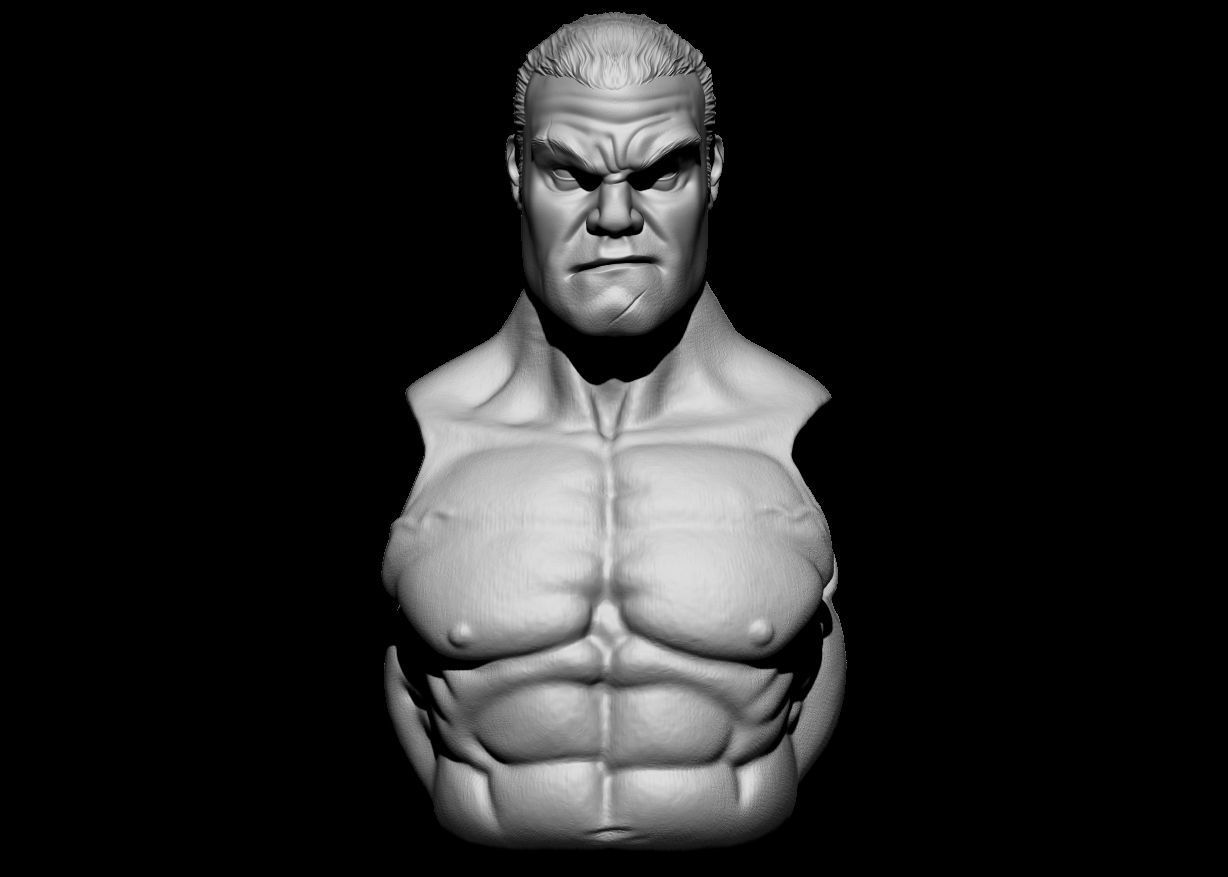 Punisher Custom Head 3D print model_3