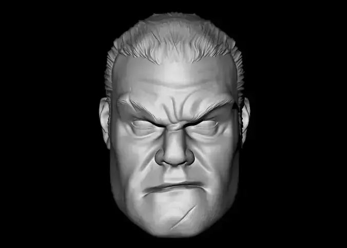 Punisher Custom Head